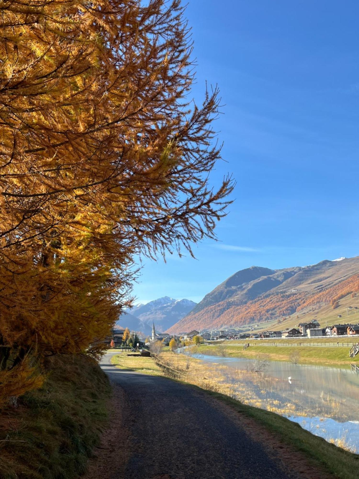 Chalet Shany Livigno Exterior photo